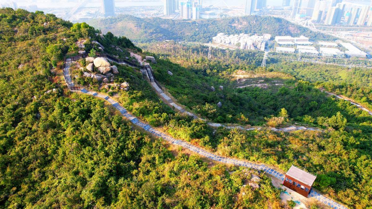 新春登高览琴澳风光 小横琴山步道对外开放