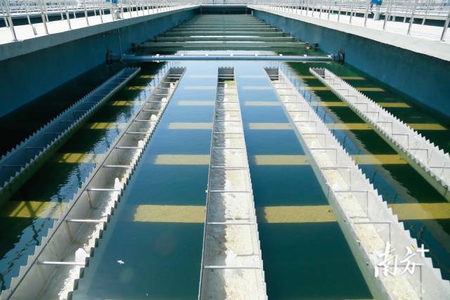 污水池内的污水经过一道道工序处理后,变为一股清流注入石岐河。 南方拍客 连婉晴 供图