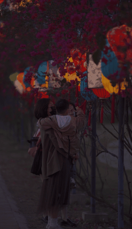 看花灯动图1.gif 图片