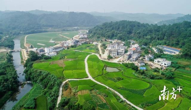 清远英德市连江口镇连樟村 南方日报记者 曾亮超 摄 清远英德市连江口镇连樟村 南方日报记者 曾亮超 摄