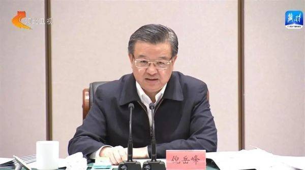 倪岳峰在雄安新区主持召开座谈会。图片来源:河北新闻联播 倪岳峰在雄安新区主持召开座谈会。图片来源:河北新闻联播