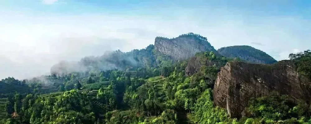 武夷山.jpg?x-oss-process=style/w10