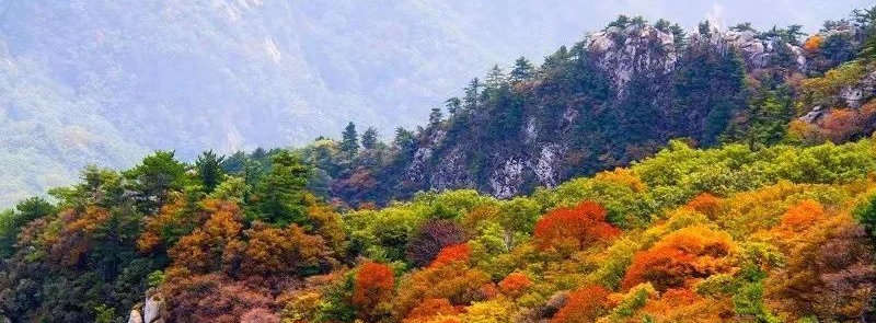 莱芜花山.jpg?x-oss-process=style/w10