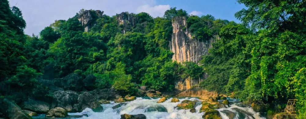 黄果树.jpg?x-oss-process=style/w10