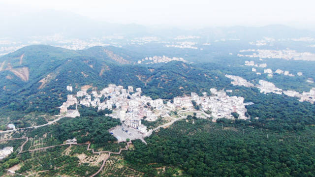 广东茂名高州市根子镇柏桥村风貌。新华社记者 王瑞平 摄 广东茂名高州市根子镇柏桥村风貌。新华社记者 王瑞平 摄