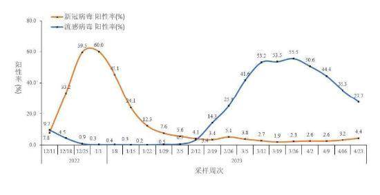图2-5 全国哨点医院流感样病例新冠和流感病毒阳性率变化趋势。数据来源于402家网络实验室 图2-5 全国哨点医院流感样病例新冠和流感病毒阳性率变化趋势。数据来源于402家网络实验室