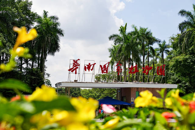 华南国家植物园。  