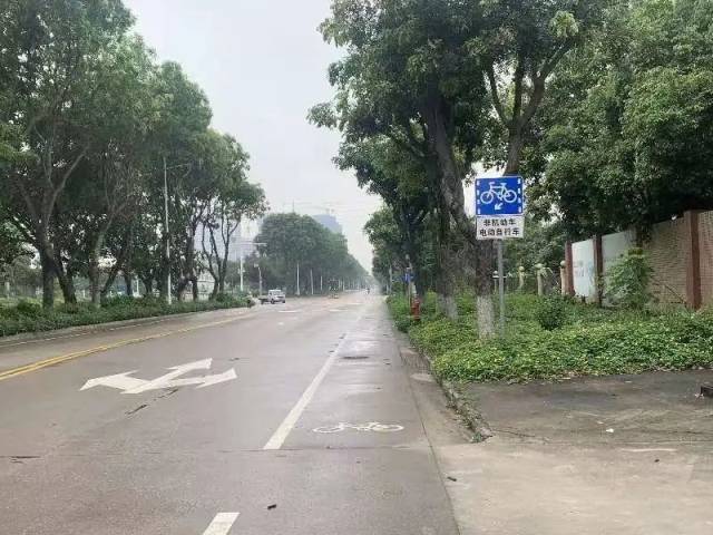 沙湾路非机动车道设置。 沙湾路非机动车道设置。