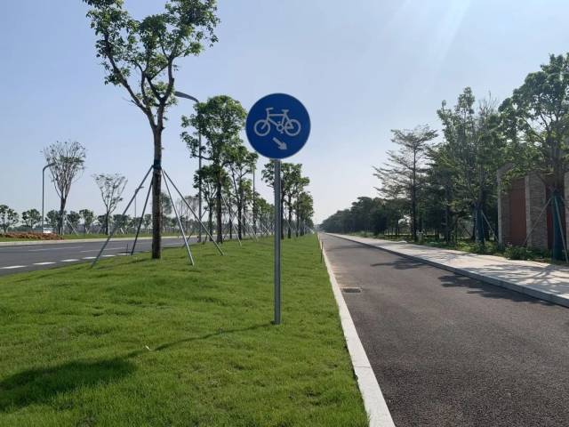 翠亨新区未来大道非机动车道设置。 翠亨新区未来大道非机动车道设置。