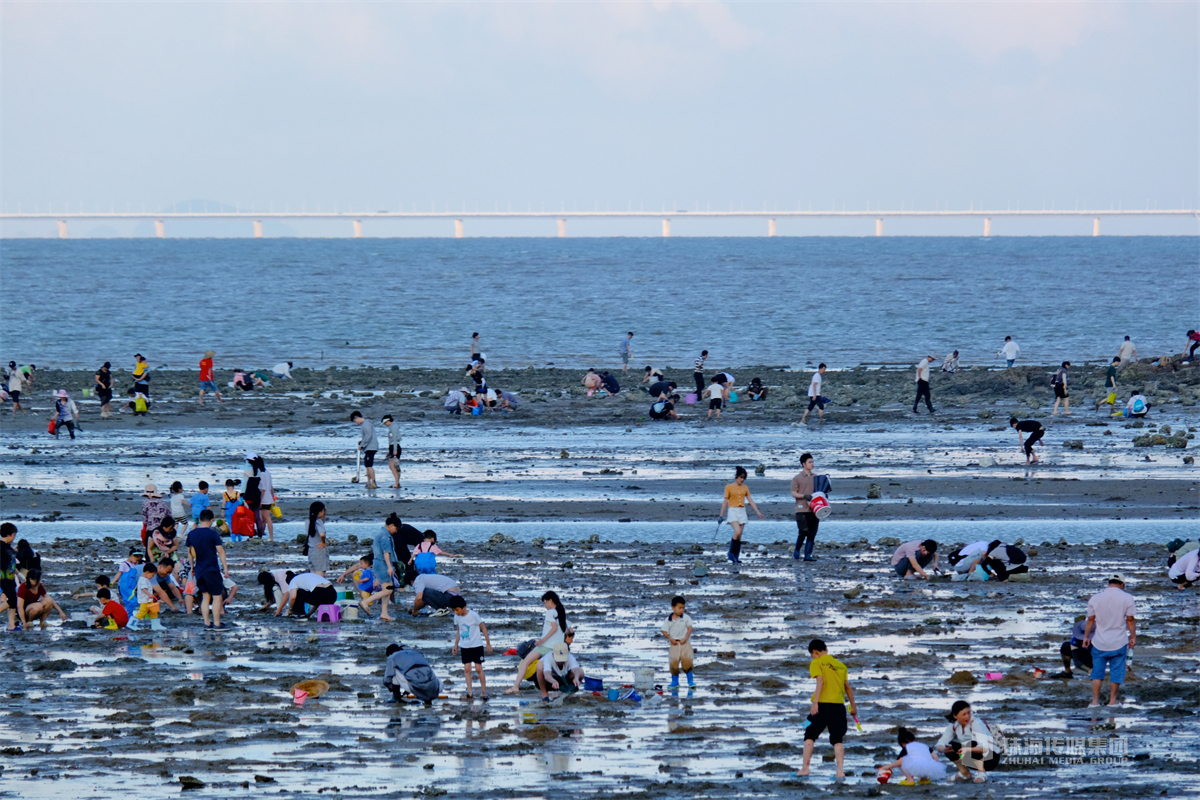 厦门后田海滩赶海图片