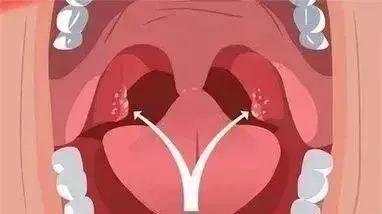 1688087031316177.jpg?x-oss-process=style/w10 20230630082834316.jpg?x-oss-process=style/w10