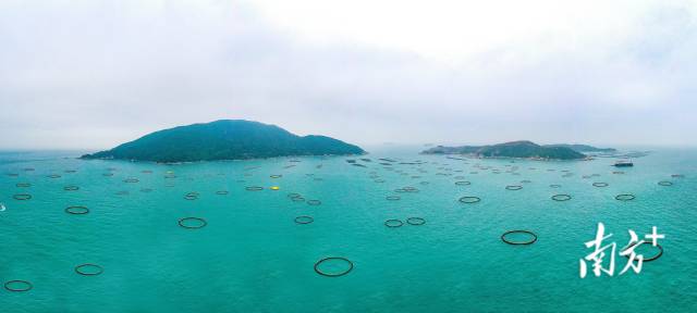 万山国家级海洋牧场示范区。 万山国家级海洋牧场示范区。
