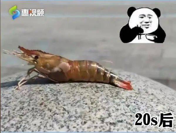惠视频截图 惠视频截图