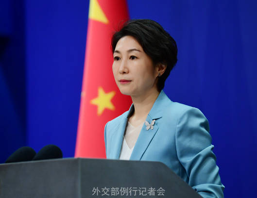 毛宁 资料图 图源：外交部网站