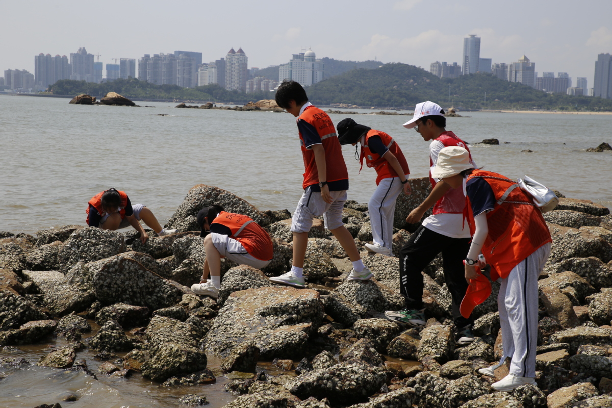 去上海旅行攻略（七天上海旅行攻略）