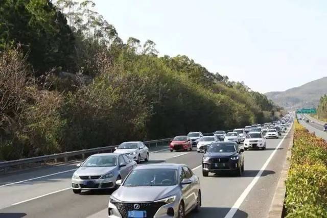 上海地铁线路图下载 最新版手机（上海地铁线路图手机版）