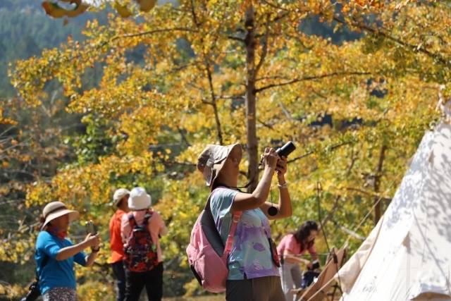 韶关南雄，假装帽子峰森林公园的今天小芳坪里， 不少银杏树叶已经泛黄。广东入秋
