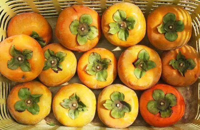 新鲜采摘的甜柿。