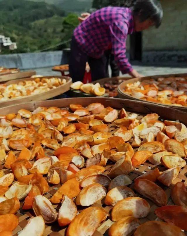 北梭村村民正在晒柿饼。