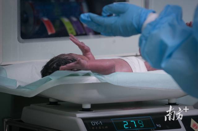 2018年12月2日上午，广州市第八人民医院，35岁的艾滋病感染者晴子顺利生下一个女婴。南方+记者 张梓望 摄