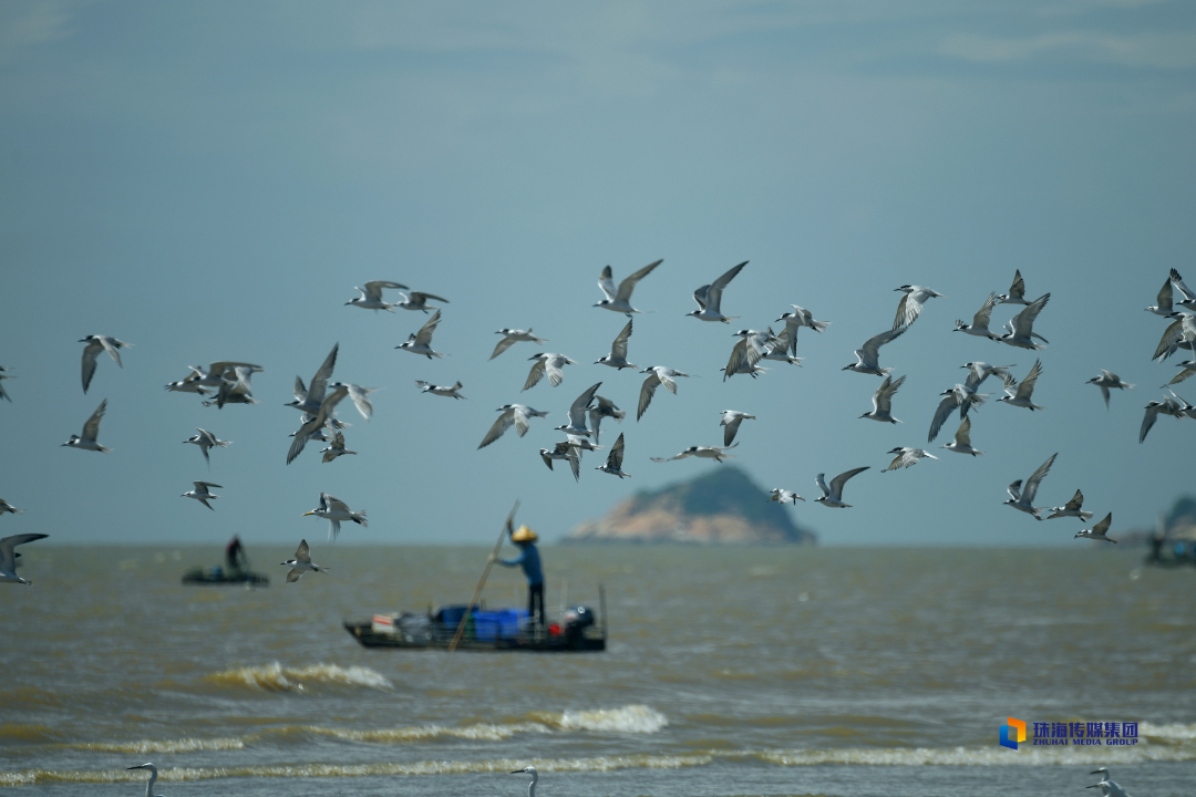 上海接种疫苗闵行区（上海接种疫苗去哪）