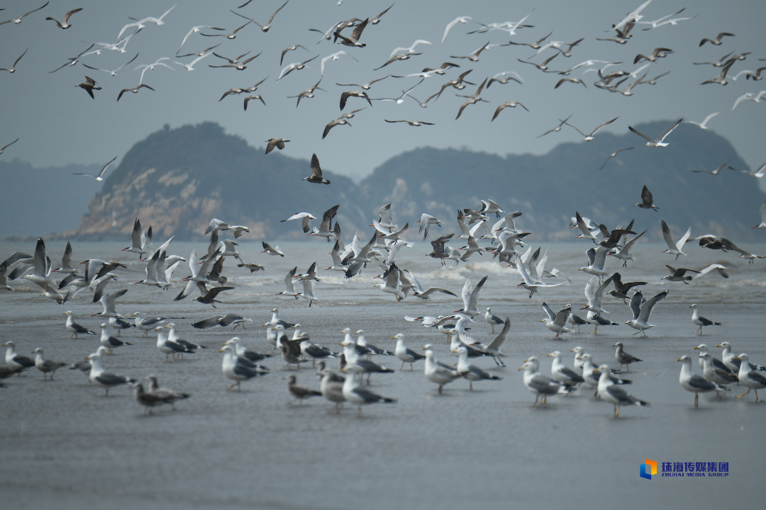 上海闵行区在郊区吗（上海闵行区在浦西吗）