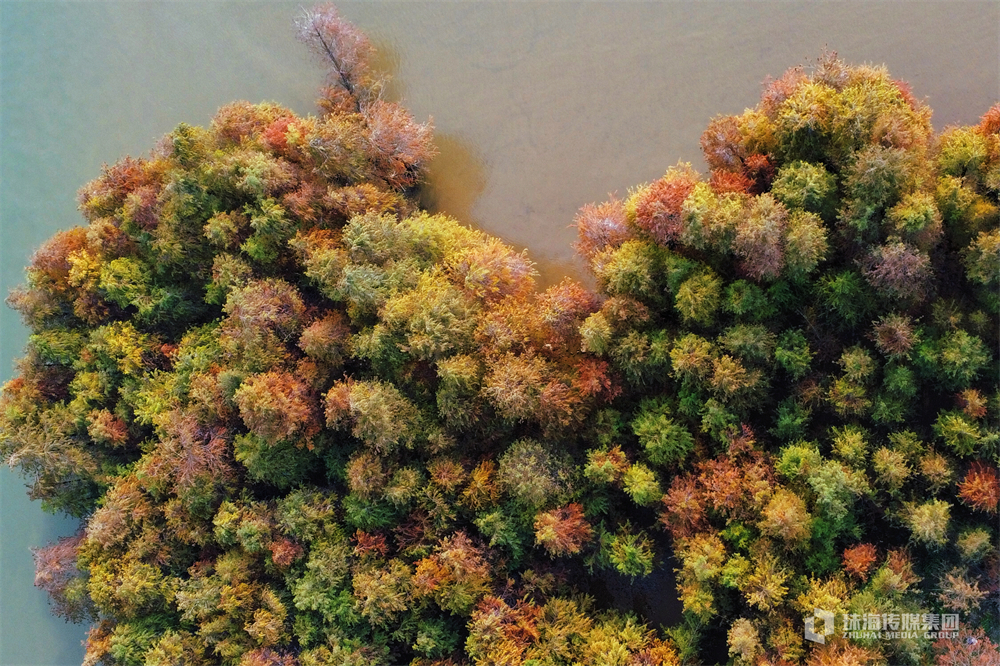 徐萍上海闵行区（徐萍上海浦东新区）