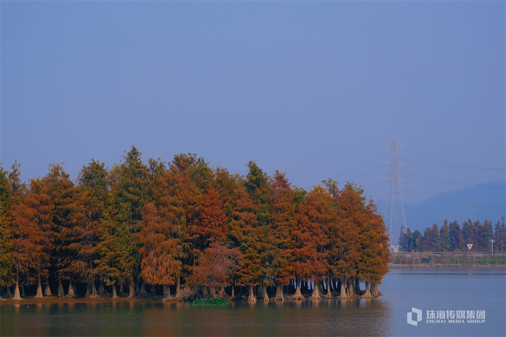 天气预报万年历（天气预报智能万年历）