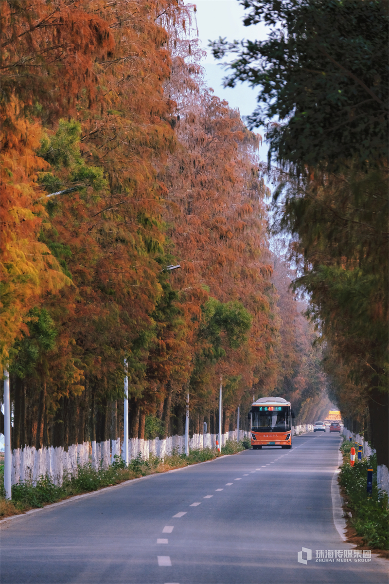 闵行区  上海花园（闵行区上海花园）