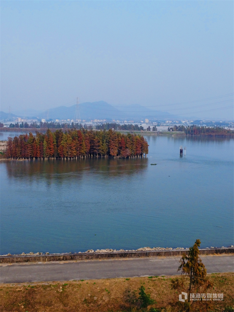 上海李艳闵行区（上海闵行区刘丽）