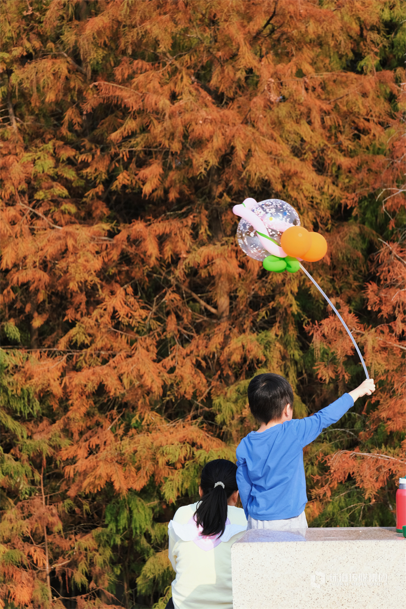 孙俪与邓超旅行吐槽其体力太差 结婚11年超幸福