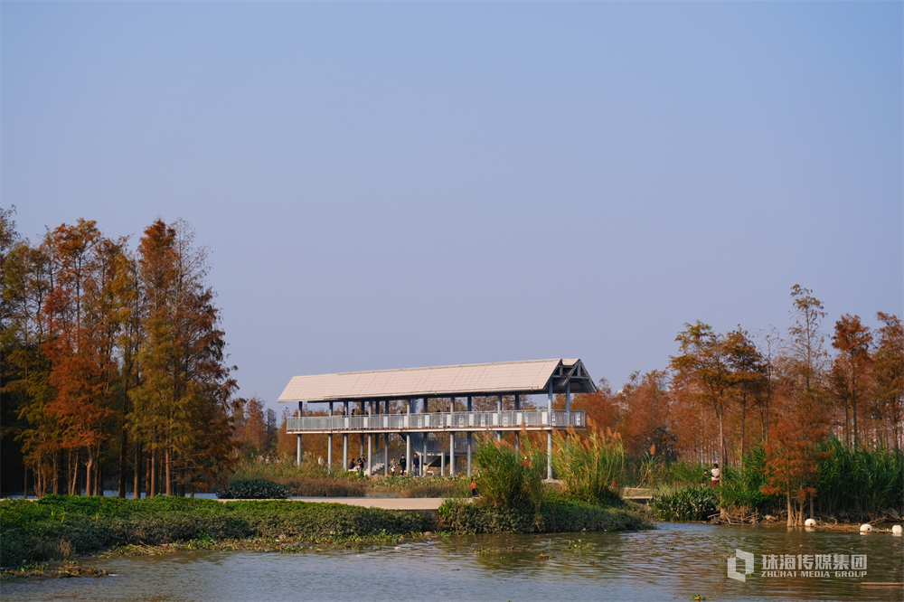 上海闵行区海鲜餐厅排名（上海闵行海鲜餐厅排名前十名）