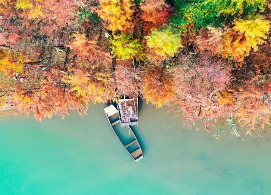 闵行区上海风景（上海闵行区风景）