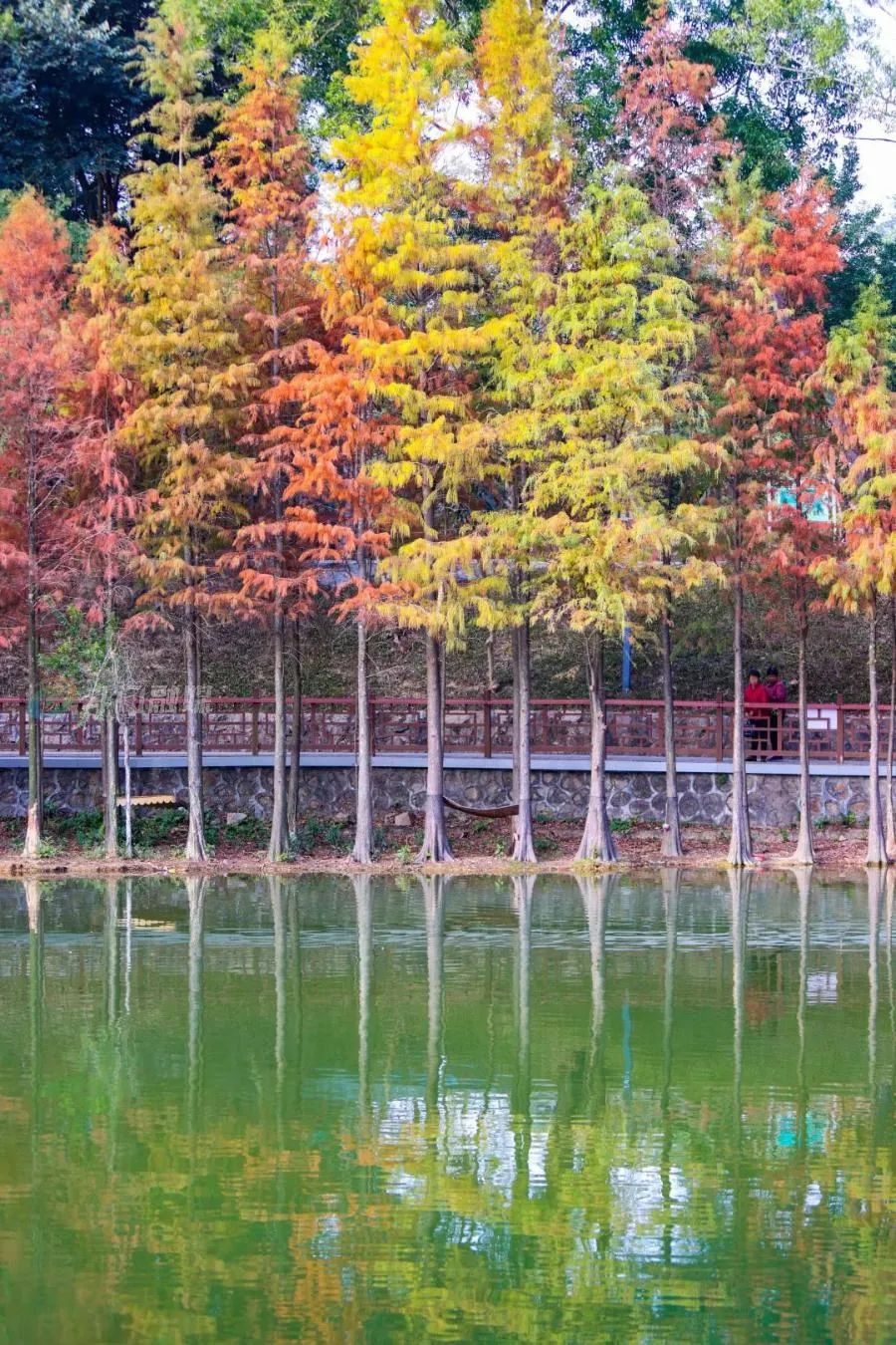 重庆1月份天气（重庆1月份的天气）