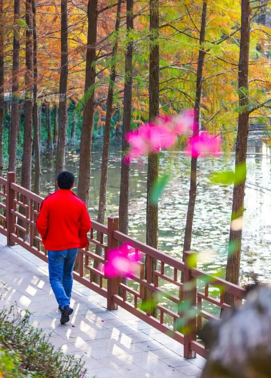 上海闵行区团建聚餐地方（上海闵行团建地方推荐）