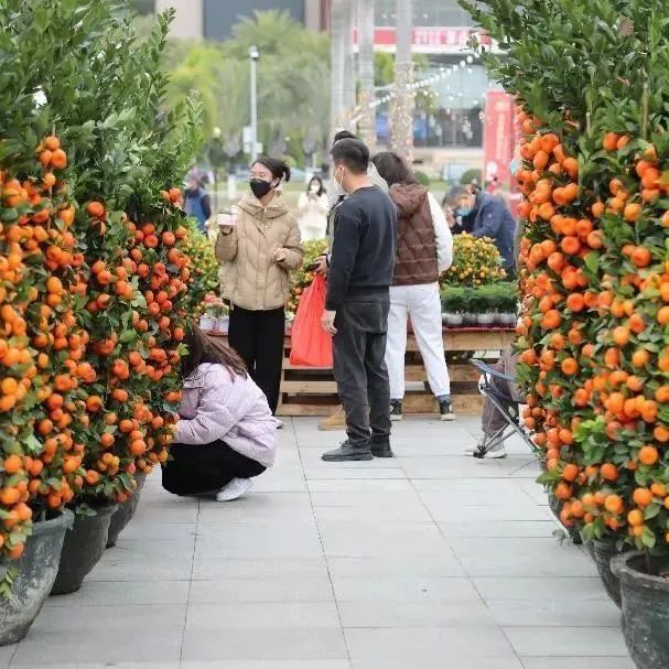 上海地铁线路图图片（上海地铁线路照片）