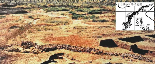 辽宁查海遗址出土的石堆龙。