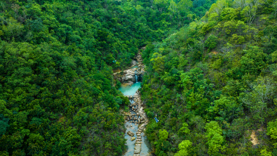 上海盐业闵行区（上海闵行区）