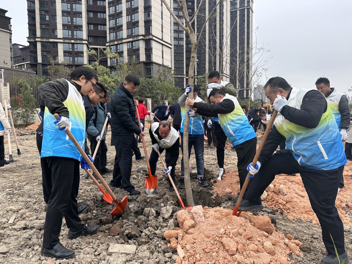 上海闵行区回重庆（上海闵行区回吉林）