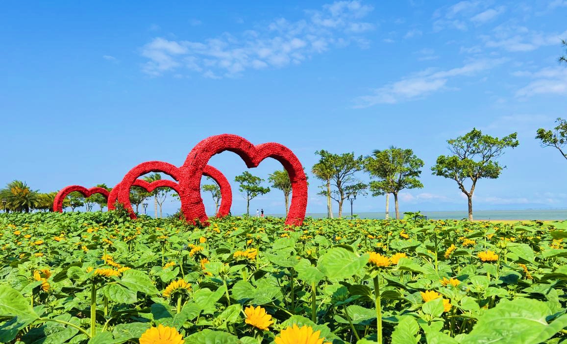 上海换驾照闵行区体检（上海闵行区驾照体检）