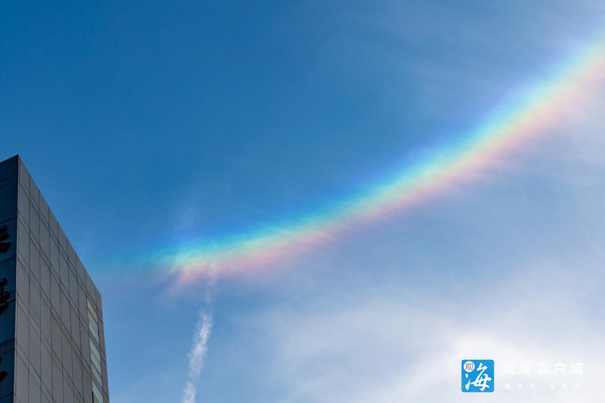 重庆1月份天气（重庆1月份的天气）