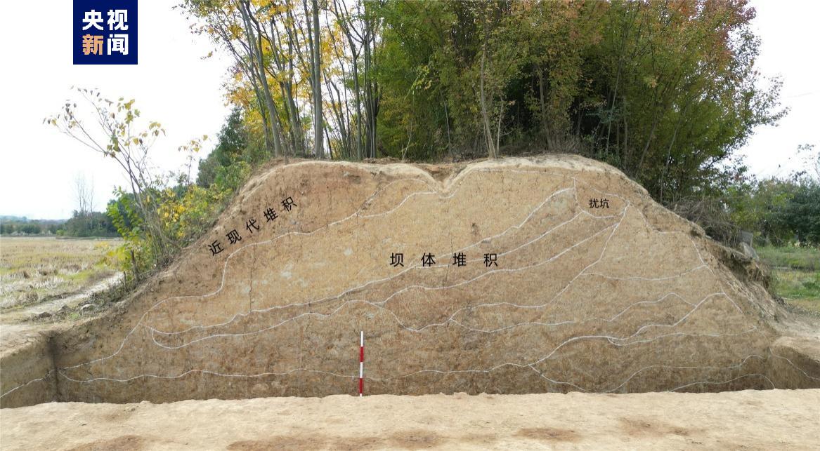 上海番茄田闵行区（上海宝山番茄田园）