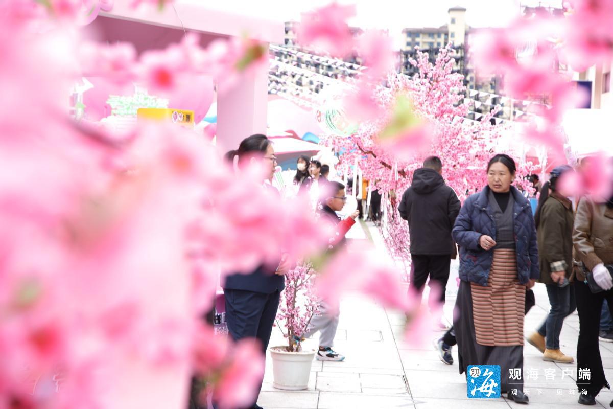 上海市公务员局报名入口官网网址（上海市公务员网上报名入口）