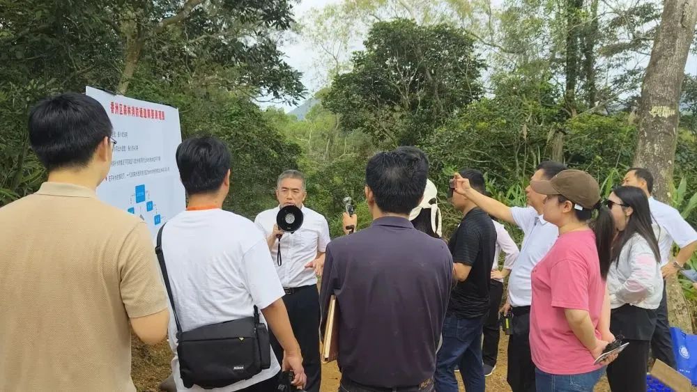 上海闵行区土方卸点（上海闵行区土方工程）