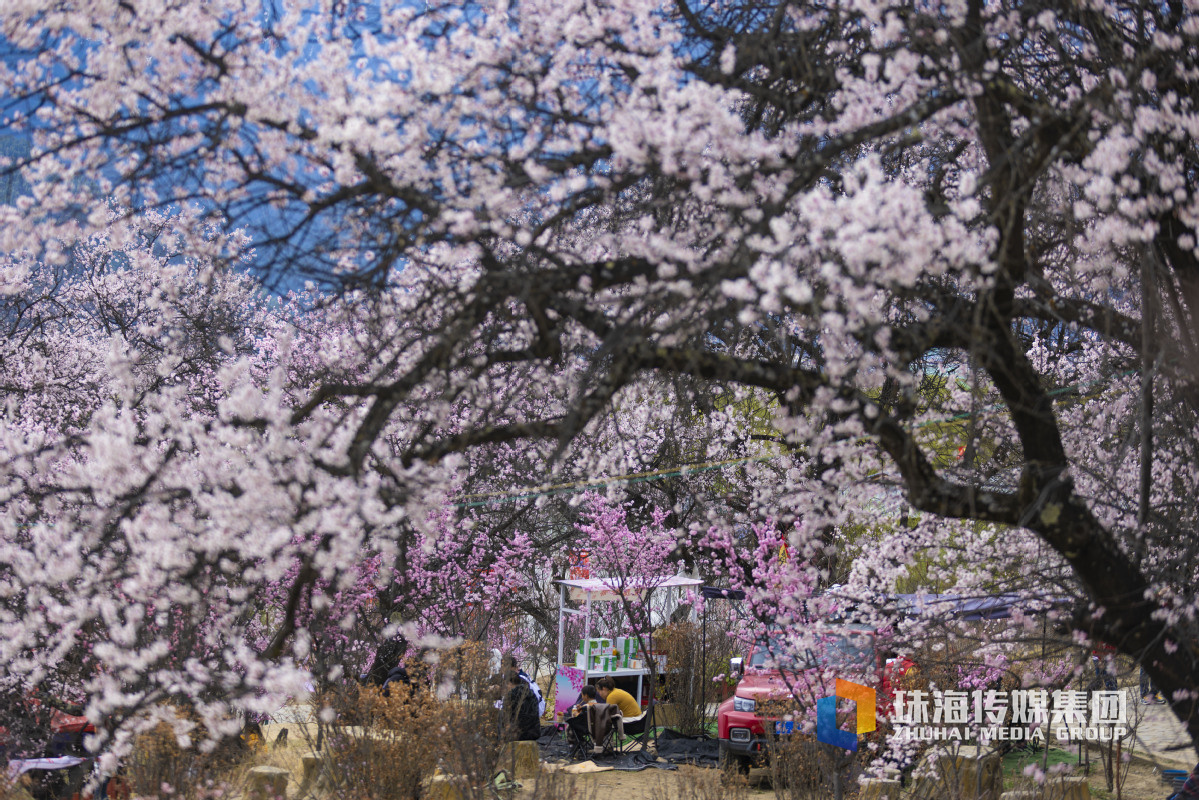 天津工业职业学院占地多少亩（天津工业大学占地多少亩）