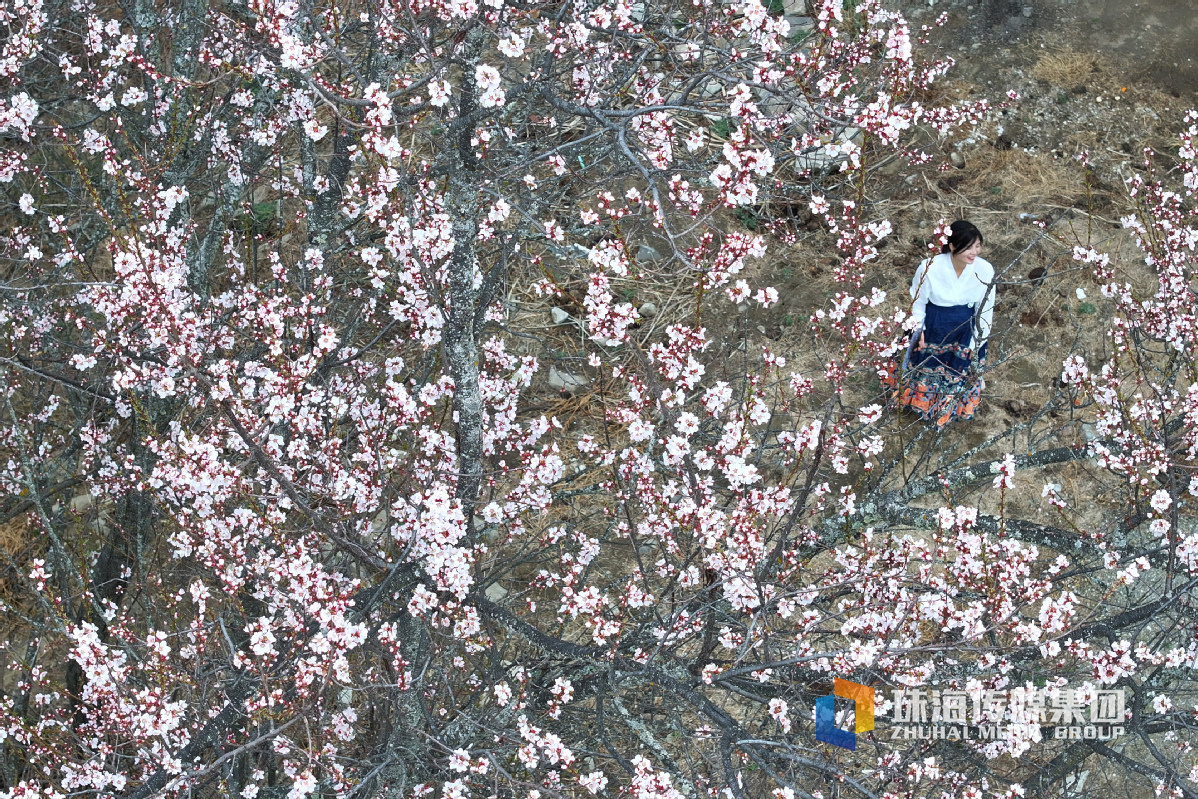 迪士尼门票提前多久买（迪士尼的门票提前多久买合适）