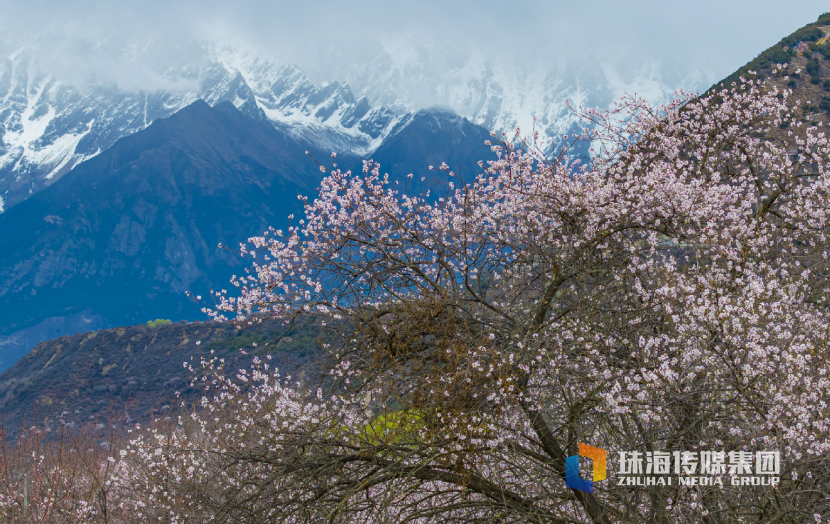 上海闵行区内高校（上海闵行区高校）