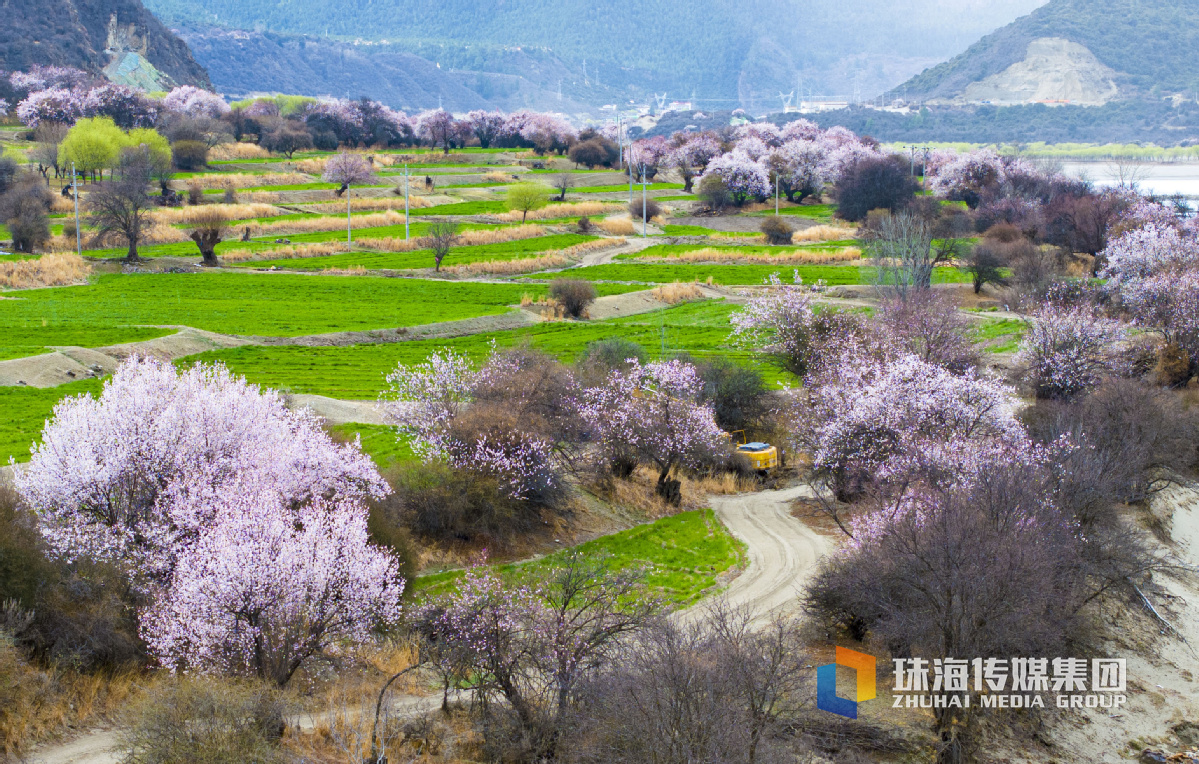 重庆1月份天气温度湿度（重庆4月份天气温度湿度）