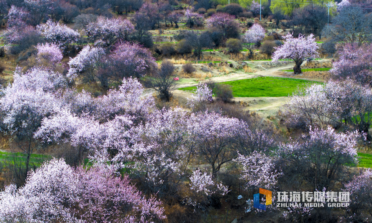 上海闵行区洛阳路（上海市闵行区洛林路）