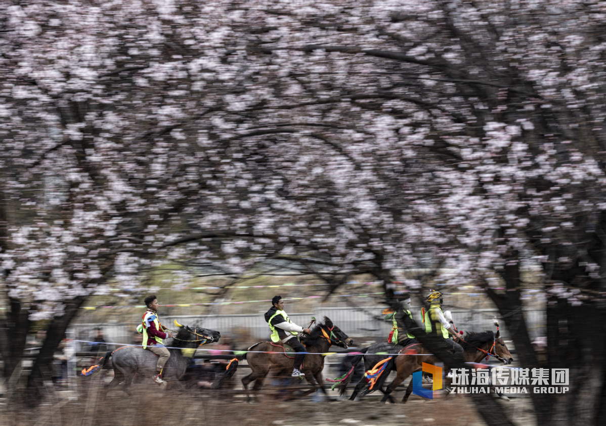 重庆30天天气预报最准确的一天（30天天气预报最准确重庆）